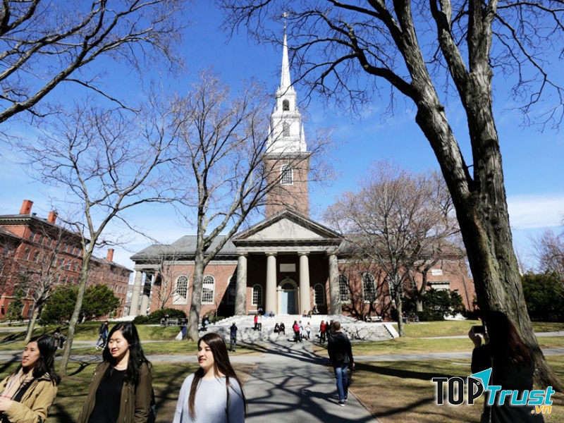 Trường đại học tốt nhất thế giới theo bảng xếp hạng Time Higher Education