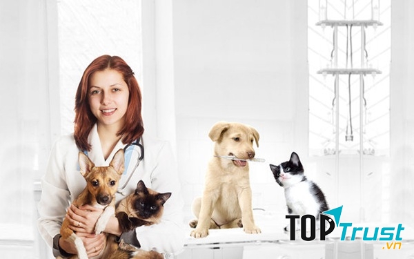 Trường dạy nghề thú y tốt và uy tín nhất ở Hà Nội