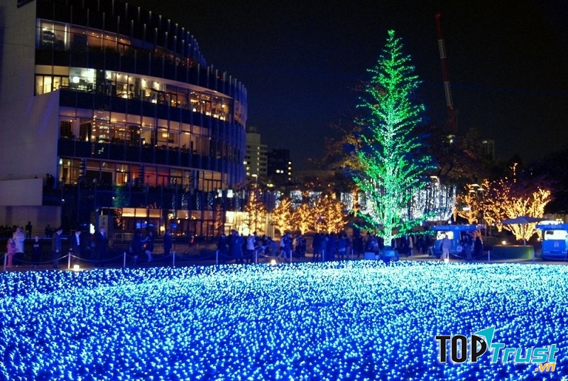 Việc làm thú vị nên làm trong Giáng sinh