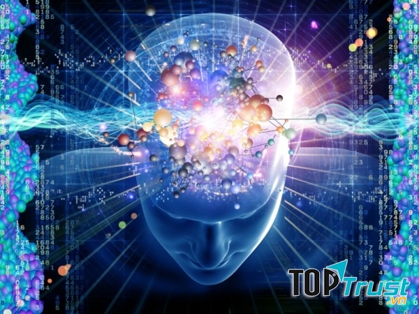 Viên uống bổ não, tăng cường trí nhớ tốt nhất hiện nay