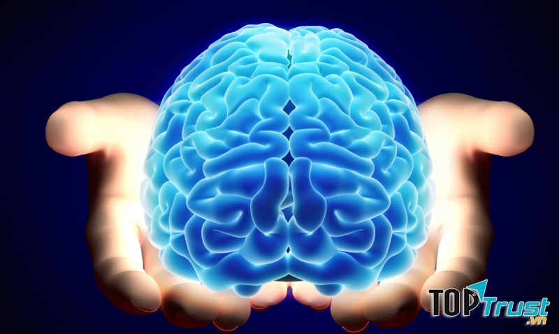 Viên uống hoạt huyết dưỡng não tốt nhất hiện nay