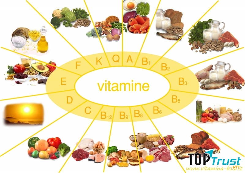 Vitamin cần thiết cho mái tóc của bạn