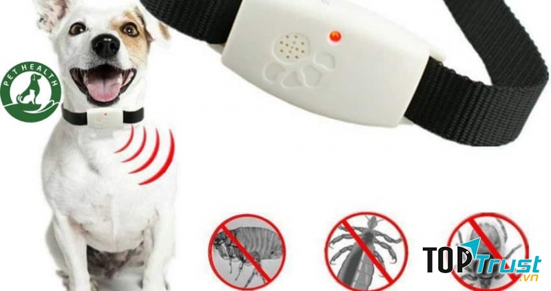 Vòng đeo cổ chống ve chó, bọ chét hiệu quả nhất cho chó