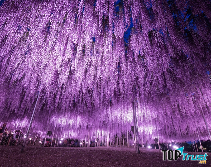 Vườn hoa đẹp nhất thế giới bạn nên đến một lần trong đời