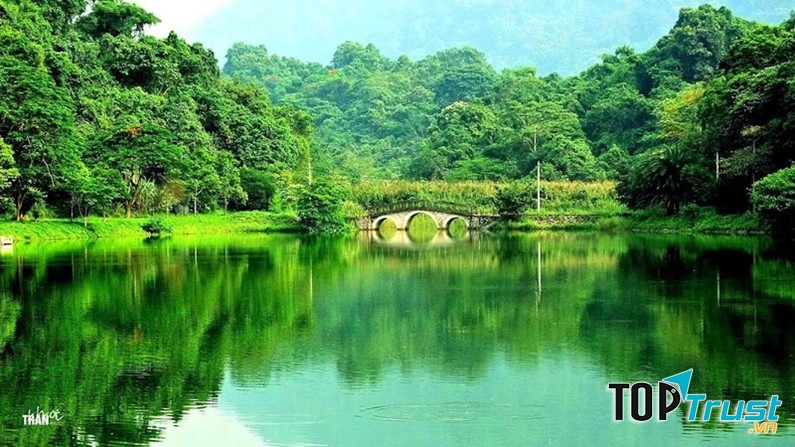 Vườn quốc gia nổi tiếng nhất Việt Nam mà bạn nên biết