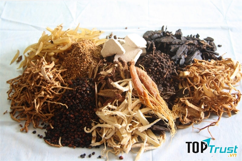 Website bài thuốc dân gian uy tín nhất