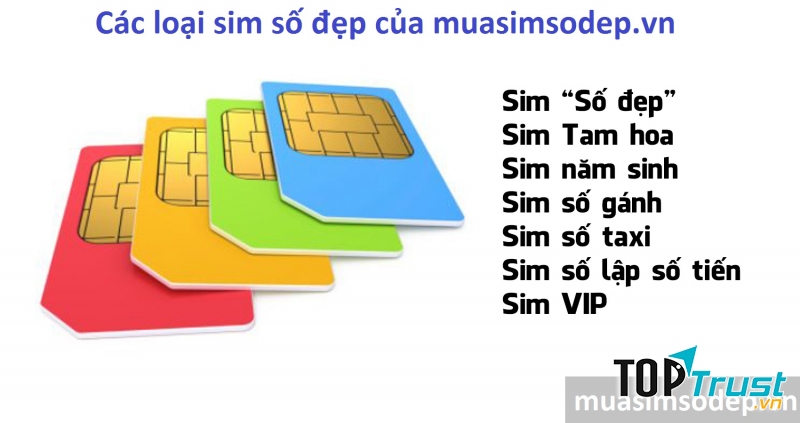 Website bán sim số đẹp uy tín hàng đầu Việt Nam