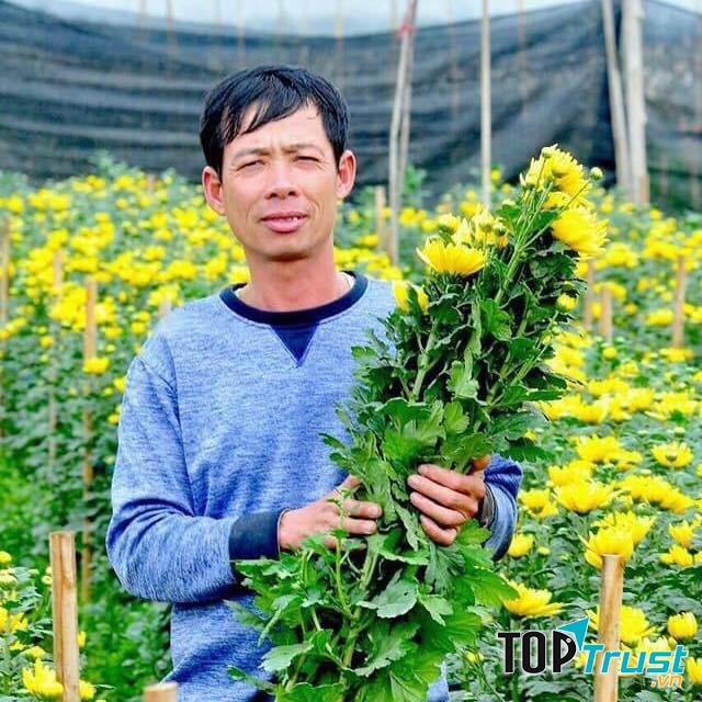 Xã giàu nhất huyện Mê Linh, Hà Nội