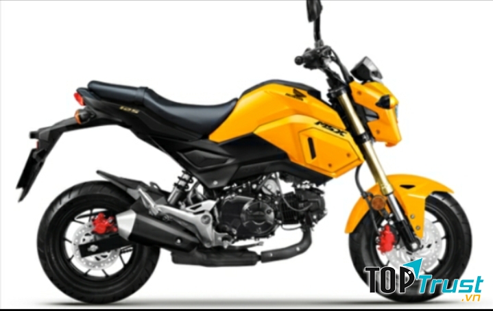 Xe thể thao được giới trẻ Việt yêu thích nhất