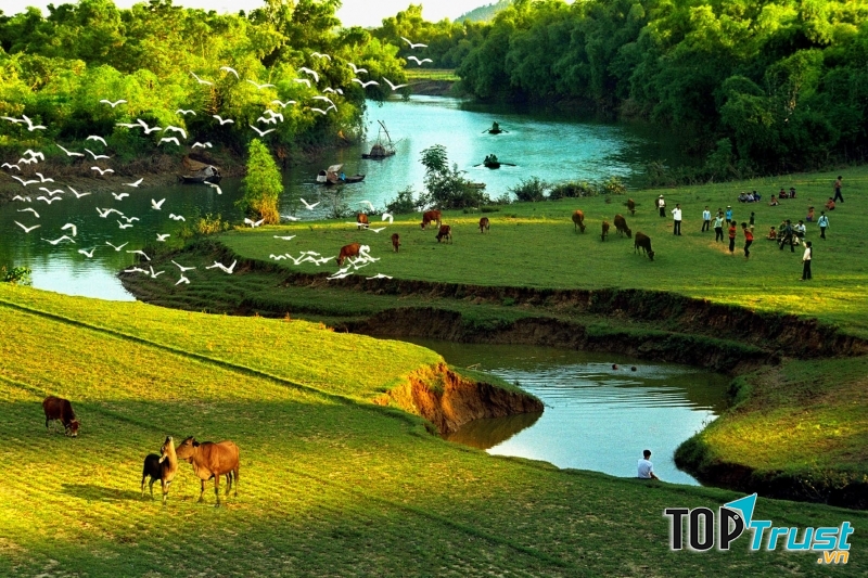 Ý tưởng kinh doanh hiệu quả ở nông thôn hiện nay